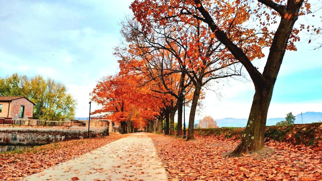 Finca Del Sol Лукка Экстерьер фото